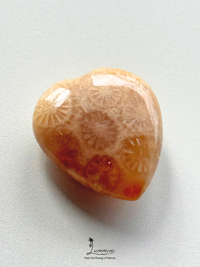 Natural Fossil Coral Cabochon – Choose Your Piece