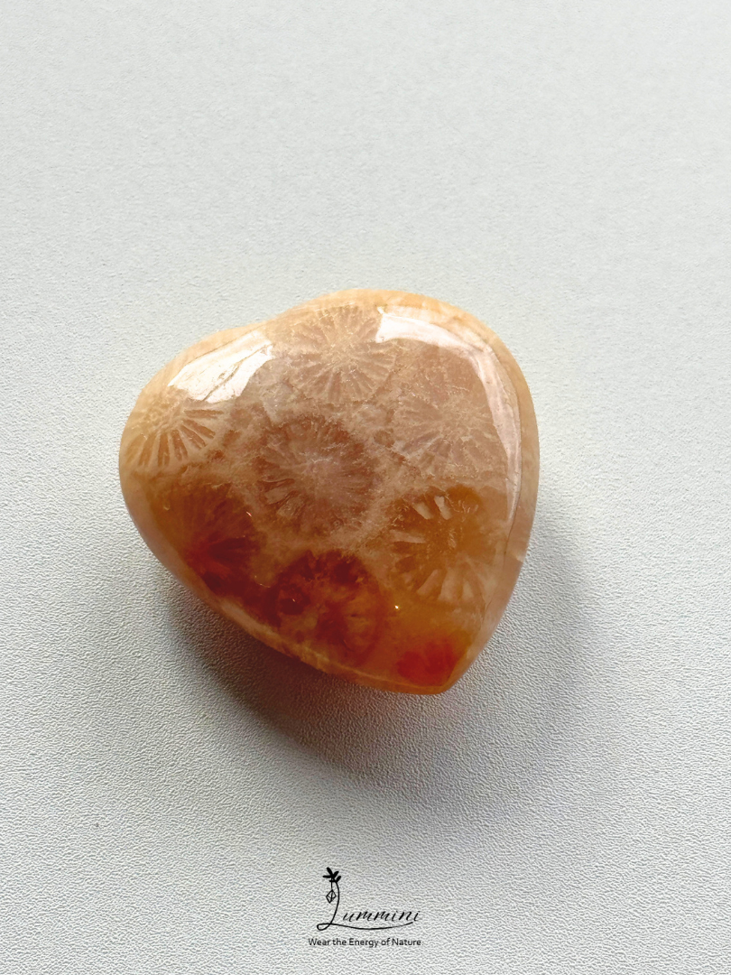 Natural Fossil Coral Cabochon – Choose Your Piece