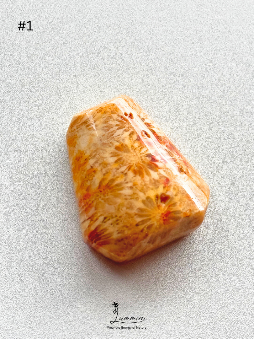 Natural Fossil Coral Cabochon – Choose Your Piece