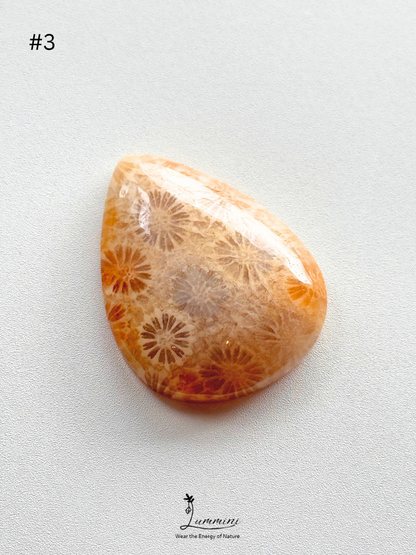 Natural Fossil Coral Cabochon – Choose Your Piece
