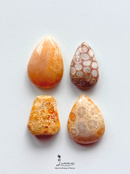 Natural Fossil Coral Cabochon – Choose Your Piece