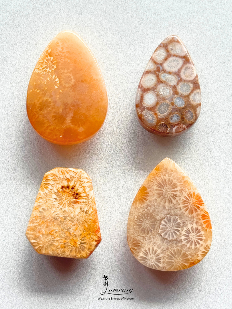 Natural Fossil Coral Cabochon – Choose Your Piece