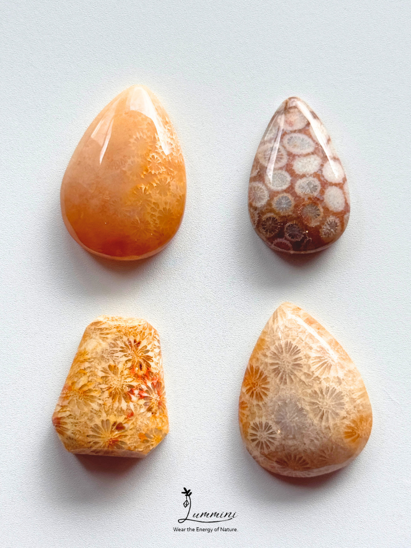 Natural Fossil Coral Cabochon – Choose Your Piece