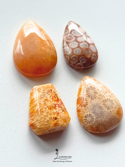Natural Fossil Coral Cabochon – Choose Your Piece